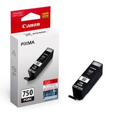 Genuine Original Canon Ink Cartridge PGI 750 PGI750